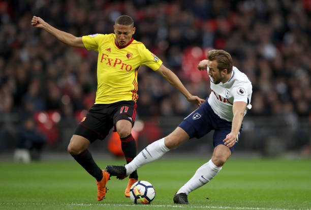 迷感到意外 迷感到意外