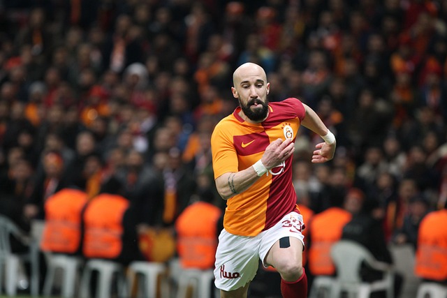 备受瞩目的 备受瞩目的