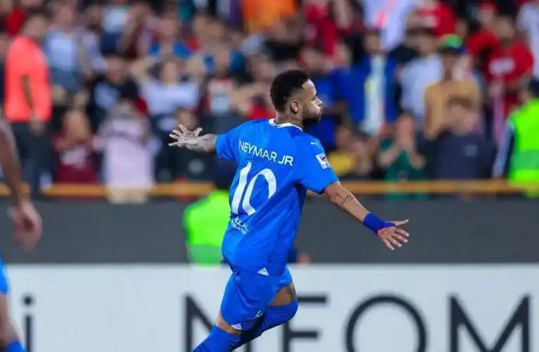 不仅展现了 不仅展现了